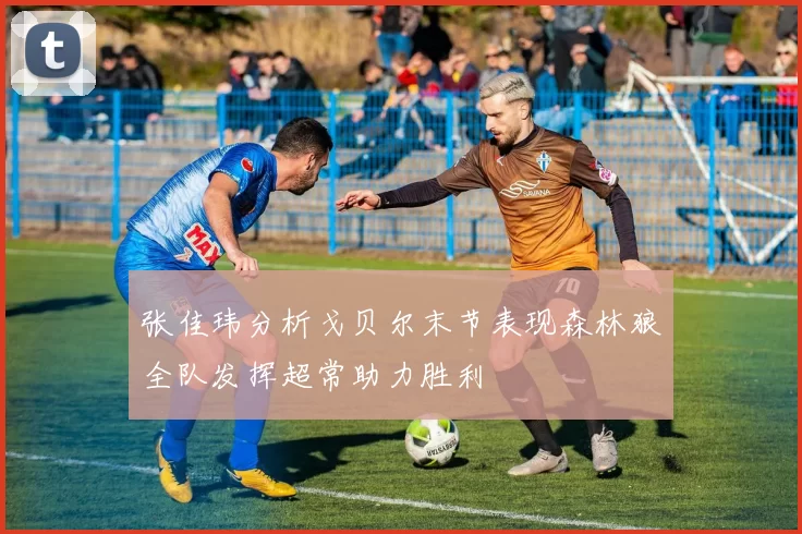 张佳玮分析戈贝尔末节表现森林狼全队发挥超常助力胜利