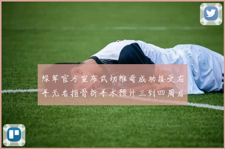 绿军官方宣布武切维奇成功接受右手无名指骨折手术预计三到四周后复查